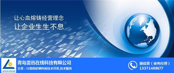 上海網(wǎng)站推廣與計算機軟硬件技術開發(fā) 雷迅在線的綜合服務策略